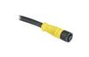 DC Micro Cordset Guardmaster 889D, M12 8pin socket » M12 8pin plug, 1.5A 30VAC/36VDC, -20..80°C, 10m PVC cable, IP65, NEMA4